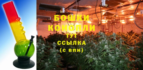 молекула духа Переславль-Залесский