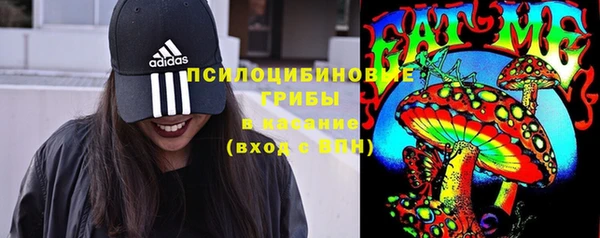 прущие крисы Пересвет