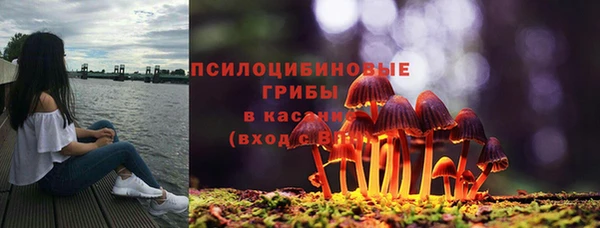 прущие крисы Пересвет